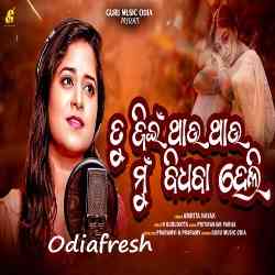 Tu Jin Thau Thau Mu Bidhaba Heli